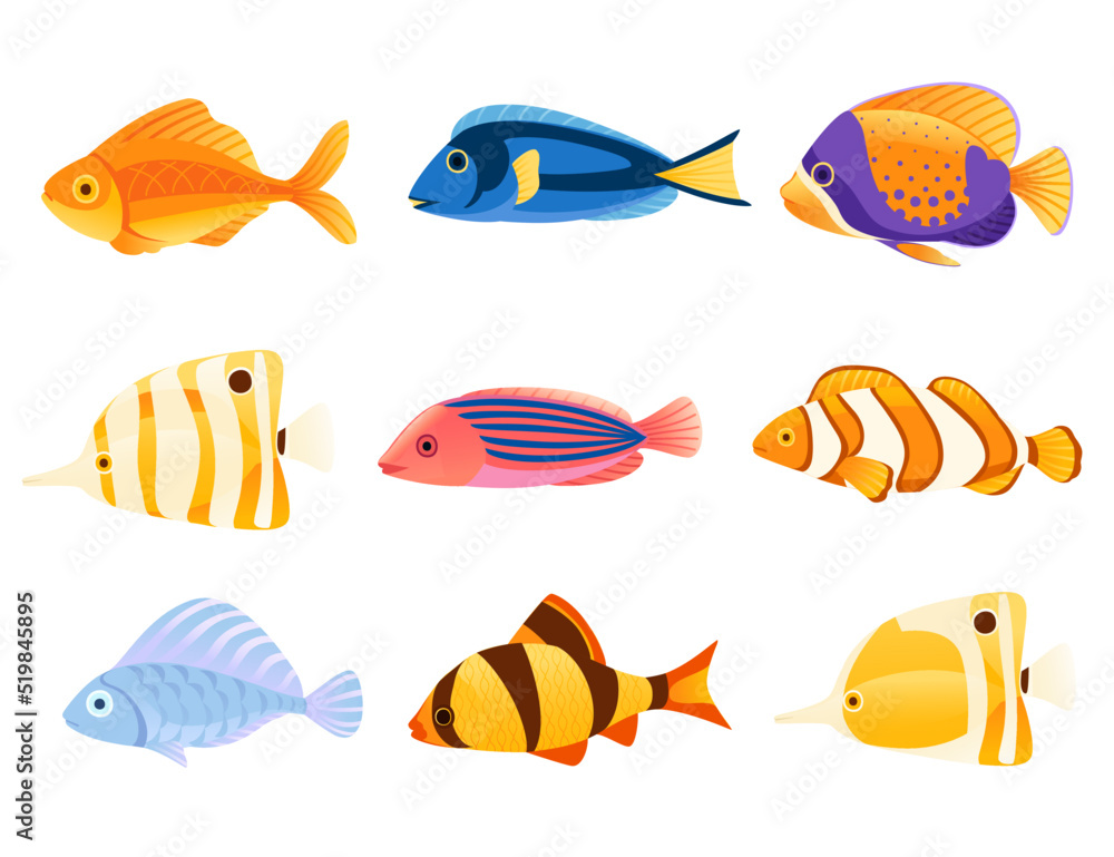 Set of Exotic tropical aquarium fishes vector illustration isolated on white background cartoon animal design Set of Exotic tropical aquarium fishes vector illustration isolated on white background cartoon animal design