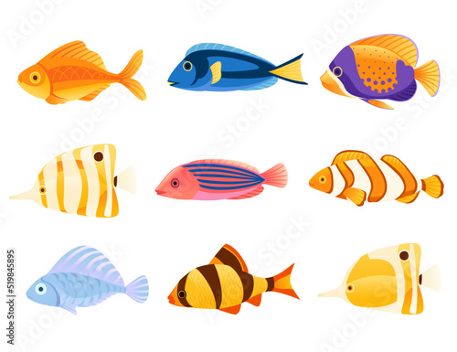 Set of Exotic tropical aquarium fishes vector illustration isolated on white background cartoon animal design