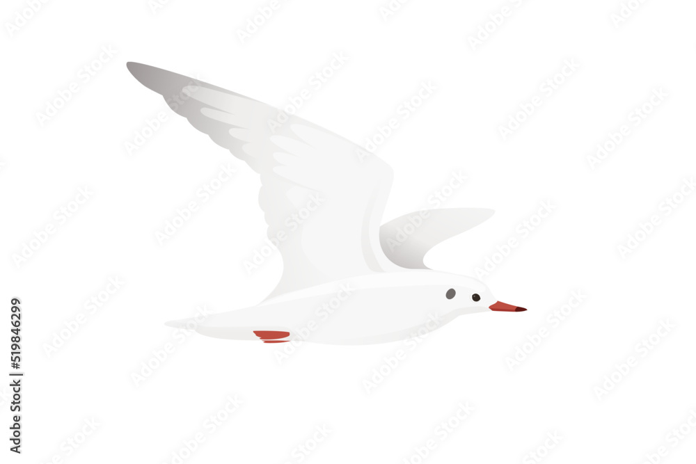 Fototapeta premium Cartoon style seagull bird vector animal design illustration on white background