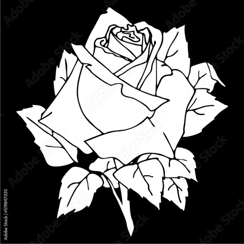 white drawing of a rose on a black background, silhouette of a flower, isolated element, graphics, design
