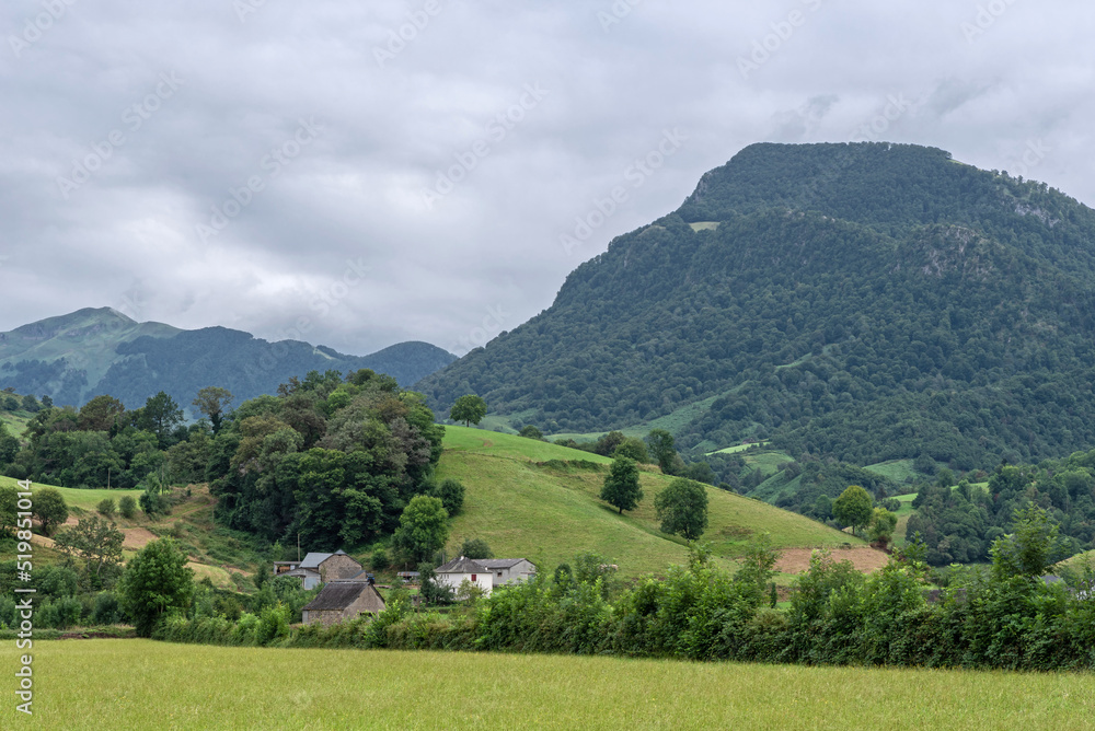 Fields and mountains in Arette. French Pyrenees Fields and mountains in Arette. French Pyrenees