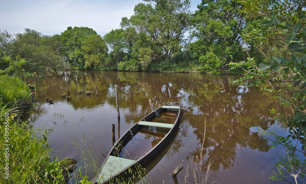 Briere marsh area,Brittany, France.La Grande Brière has been a nature park since 1970 and, with its 40,000 hectares, is the second largest marshland in France after the Camargue.