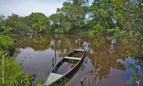 Briere marsh area Brittany  France.La Grande Bri  re has been a nature park since 1970 and  with its 40 000 hectares  is the second largest marshland in France after the Camargue.