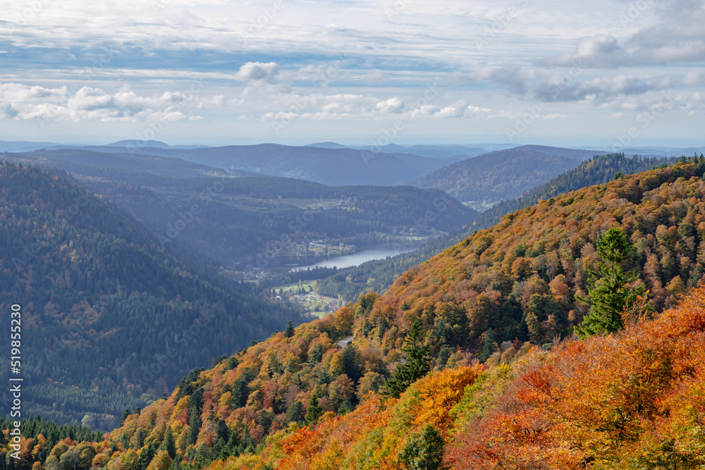 Autumn landscape with view of autumn colored trees in Vosges Mountains,