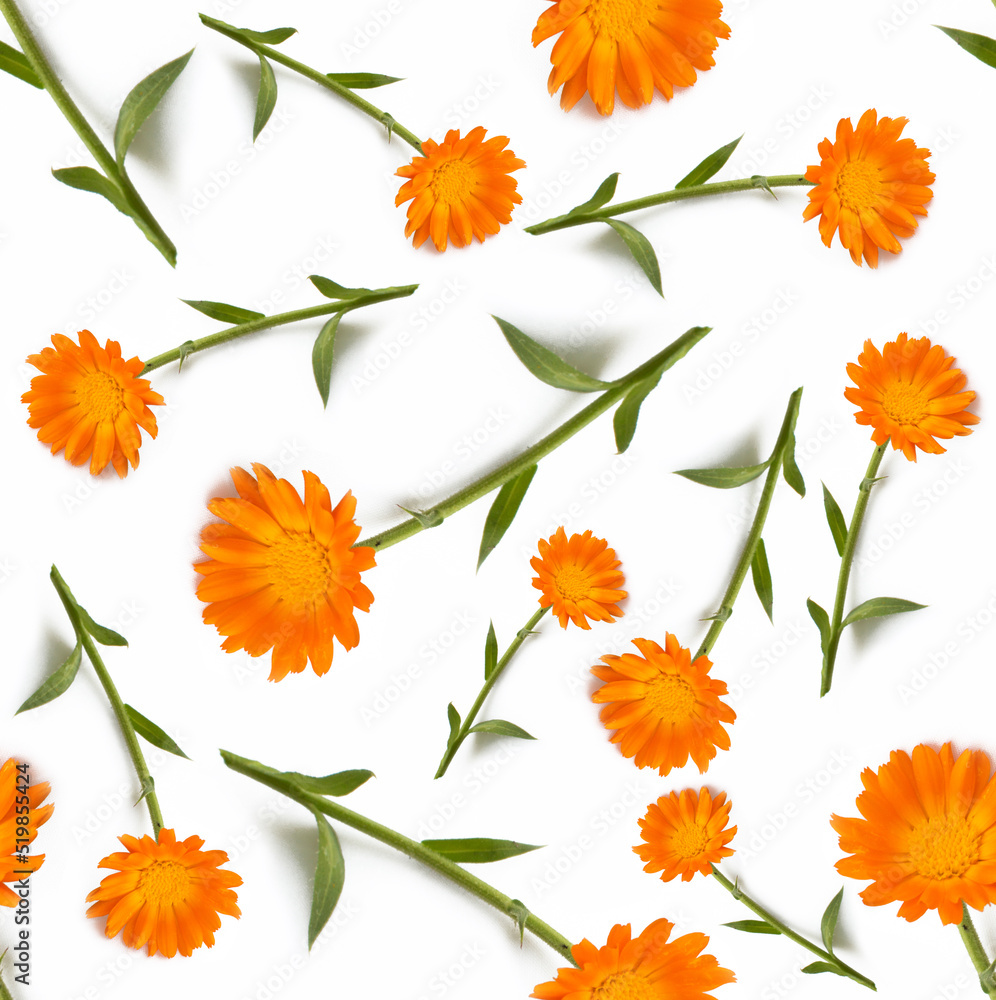 Seamless pattern orange flowers with a leaf on a white background. Printing on textiles, tablecloths, napkins and product packaging design. Printing on clothes.
Seamless pattern orange flowers with a leaf on a white background. Printing on textiles, tablecloths, napkins and product packaging design. Printing on clothes.