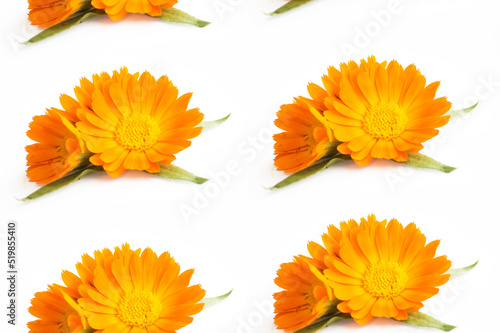 Fototapeta Naklejka Na Ścianę i Meble -  Seamless pattern orange flowers with a leaf on a white background.Krupny plan. Printing on textiles, tablecloths, napkins and product packaging design. Printing on clothes.
