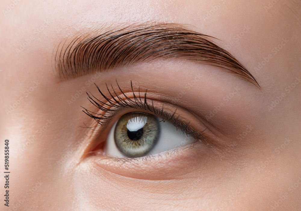 Obraz premium The make-up artist does Long-lasting styling of the eyebrows of the eyebrows and will color the eyebrows. Eyebrow lamination. Professional make-up and face care.