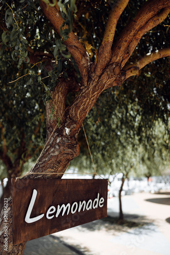 plate lemonade tree summer