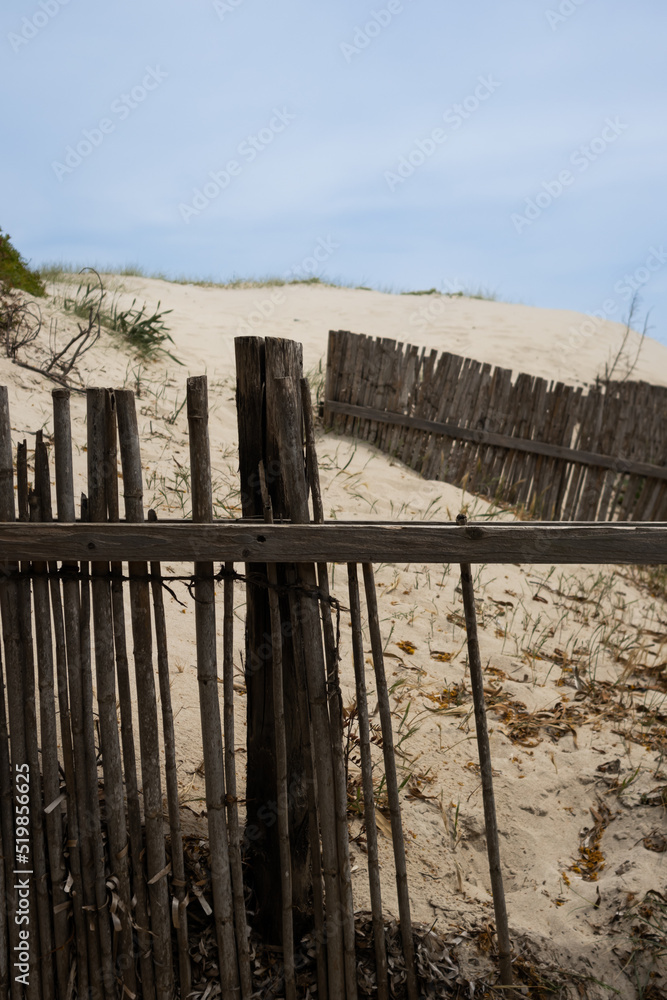 Sand dunes and a fence, Sardinia, Italy Sand dunes and a fence, Sardinia, Italy