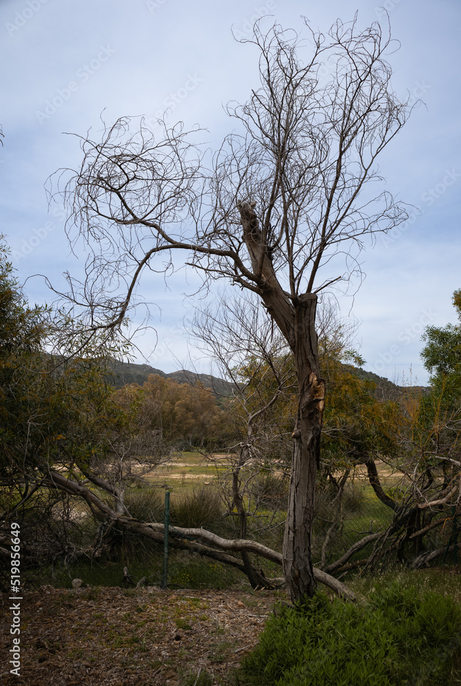 Nature of South Sardinia, Italy Nature of South Sardinia, Italy