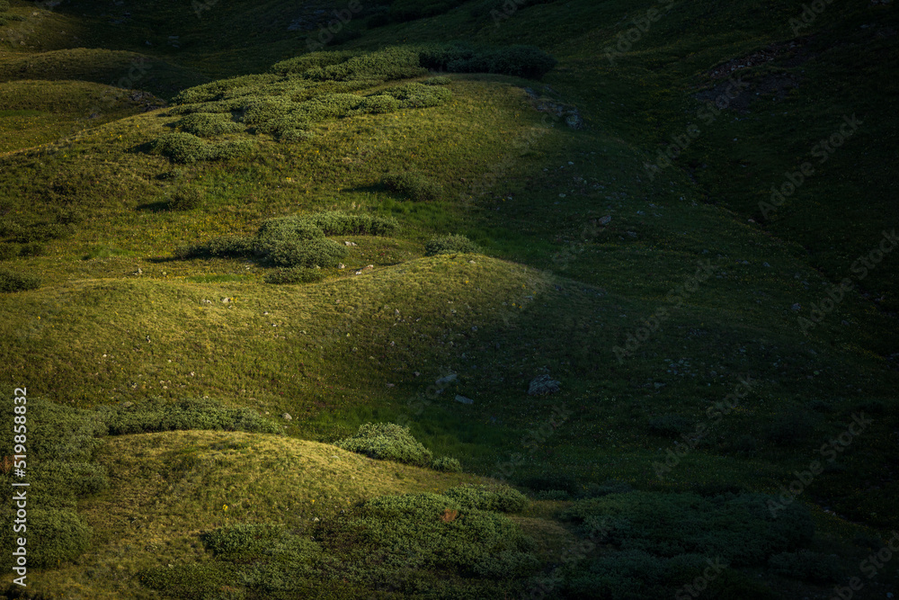high tundra field with dramatic lighting high tundra field with dramatic lighting