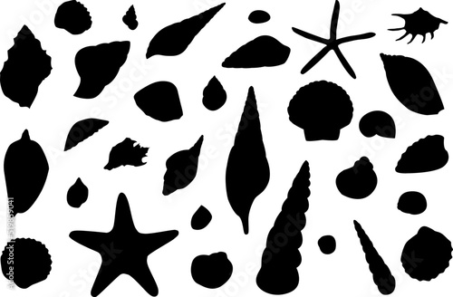 Vector shell icons on isolated white background
