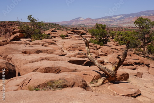 Capitol Reef National Park