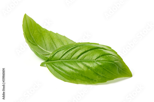 Fresh basil leaf, isolated on white background, close up. Basil herb.