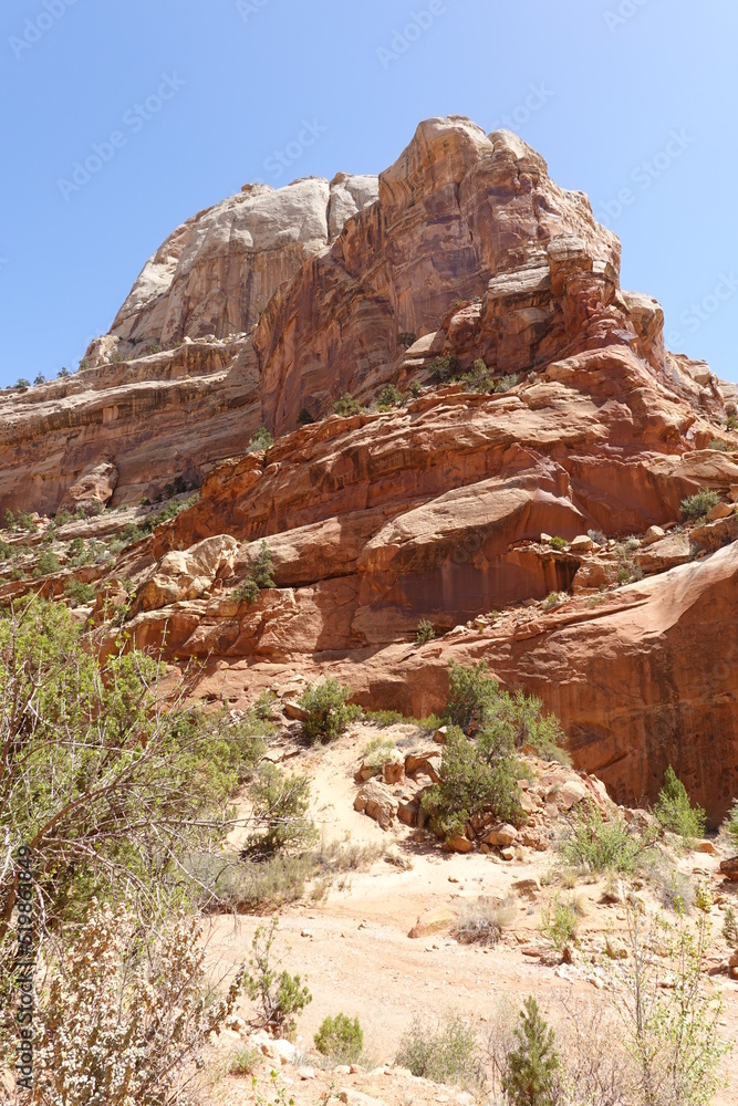 Fototapeta premium Capitol Reef National Park, Utah