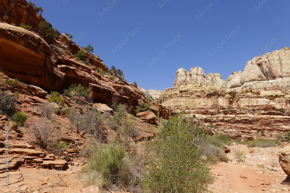 Fototapeta premium Capitol Reef National Park, Utah