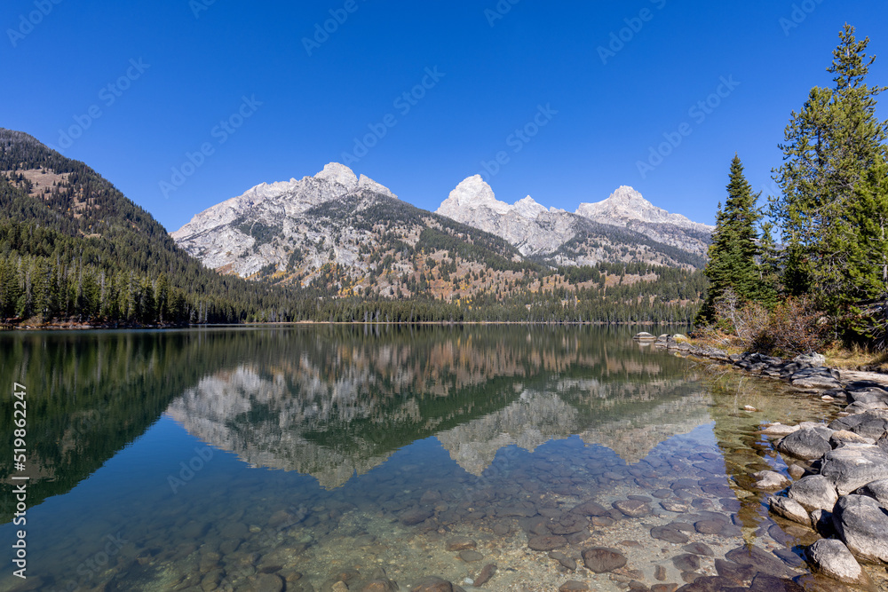 Scenic Reflection Landscape of the Tetons in Taggart Lake in Autumn