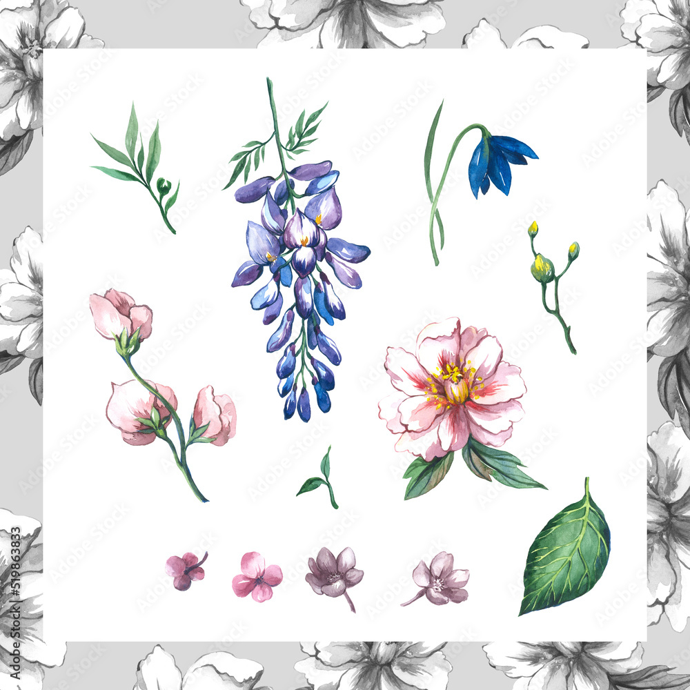 Botanical floral trendy fashion illustration set print decorativ
