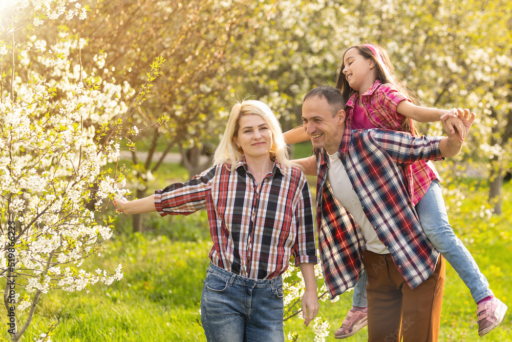Fototapeta premium family walk the cherry trees