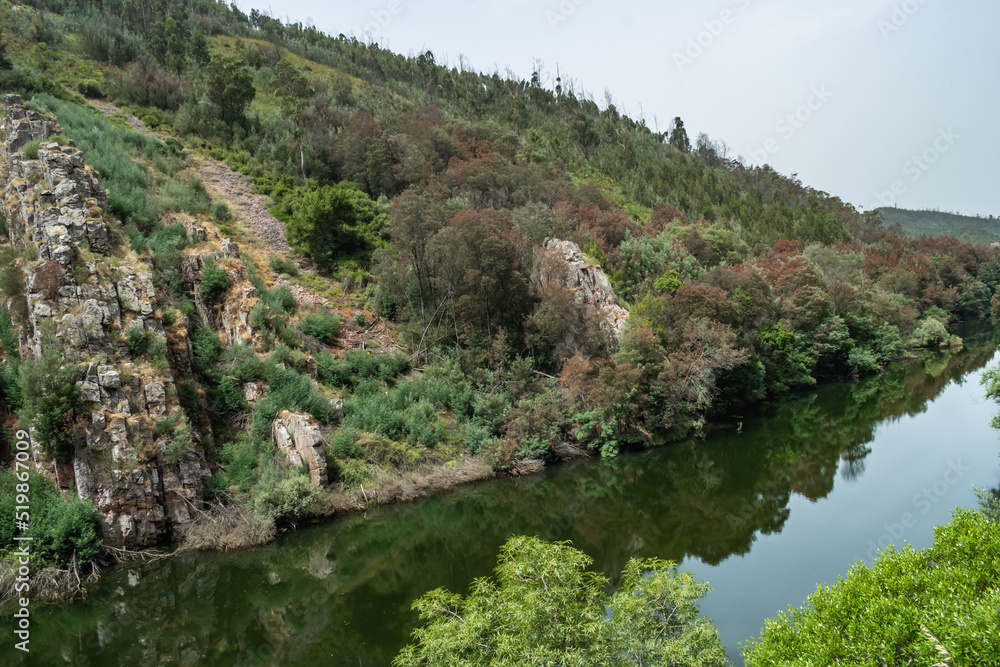 Rock formation known as Mondego bookshop on the riverbank hill with trees reflected in the water, Penacova PORTUGAL
