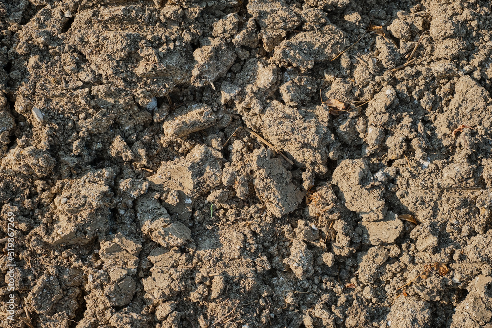 Plowed field, arable land after harvest, top view, background or screensaver idea about earth ecology and soil erosion. Growing eco-products. Plowed field, arable land after harvest, top view, background or screensaver idea about earth ecology and soil erosion. Growing eco-products.