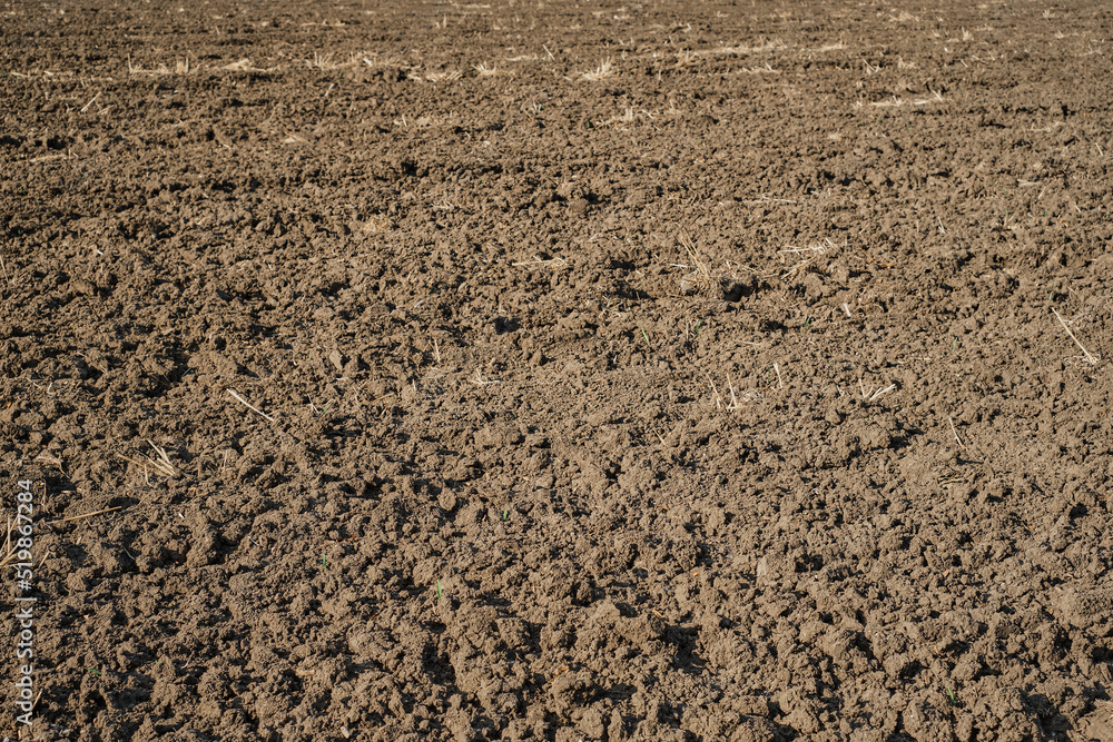 Plowed field in spring, preparation for sowing crops. Caring for the ecology of the earth, agricultural work on the farm.