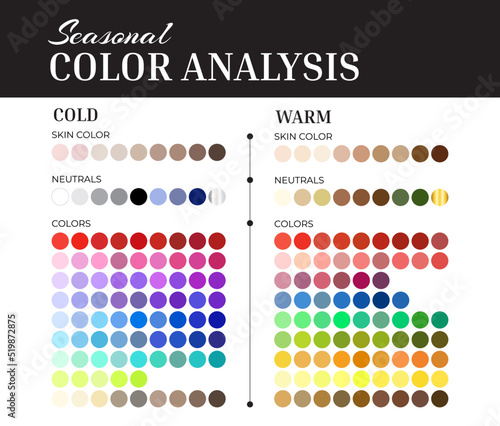 Seasonal Color Analysis Palette with Cold and Warm Color Swatches for Skin Colors, Neutrals, Shades, Gold and Silver photo
