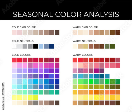 Seasonal Color Analysis Palette with Cold and Warm Color Swatches, Neutrals, Skin Shades