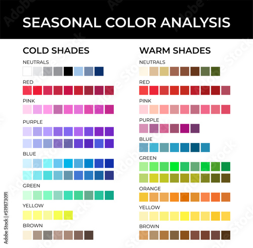 Seasonal Color Analysis Color Palette with Cold and Warm Shades, Neutrals, Red, Pink, Purple, Blue, Green, Orange, Yellow and Brown Color Swatches