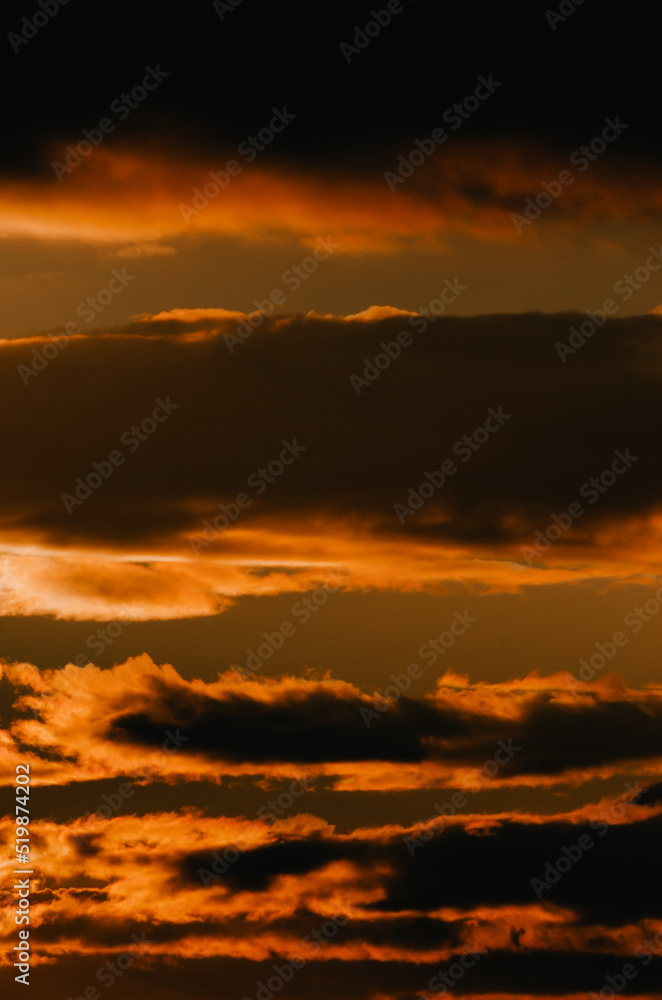 Fototapeta premium Sunset. When the sun, so close, big, crimson red, fantastically beautiful, saying goodbye to a summer day, gently gives the last warm rays.