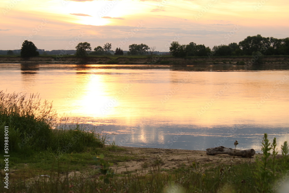 Obraz premium A dry tree is lying on the bank of the river, it is sunset.