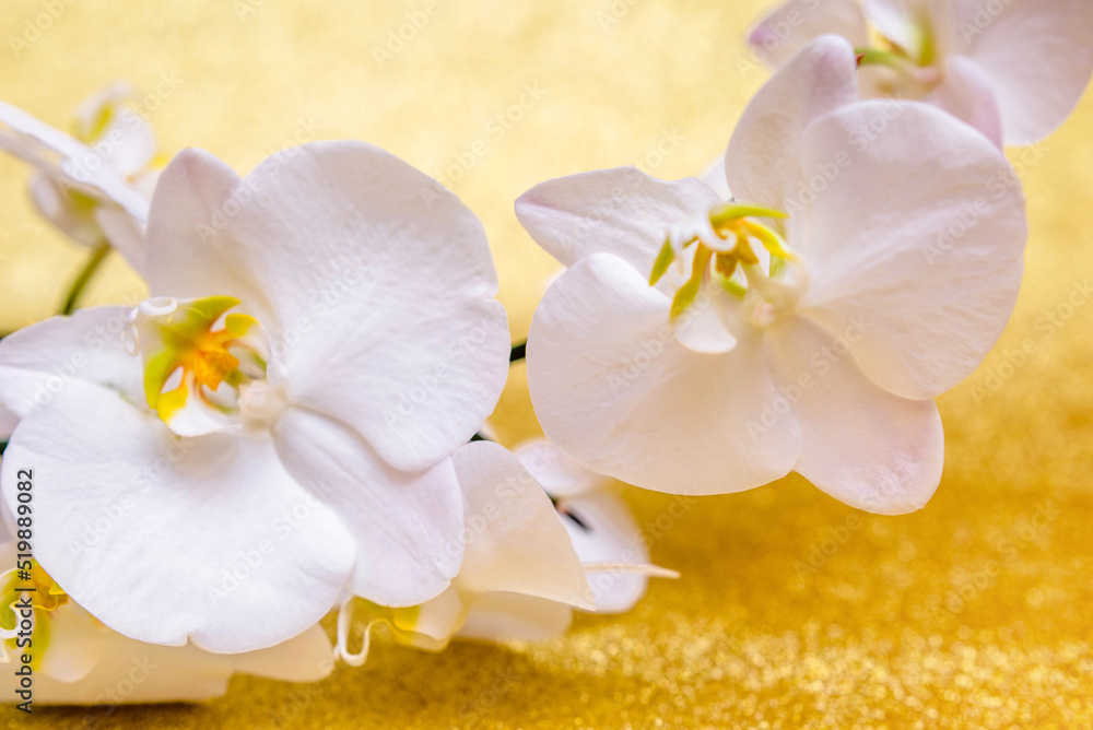 A branch of white orchids on a shiny gold background
