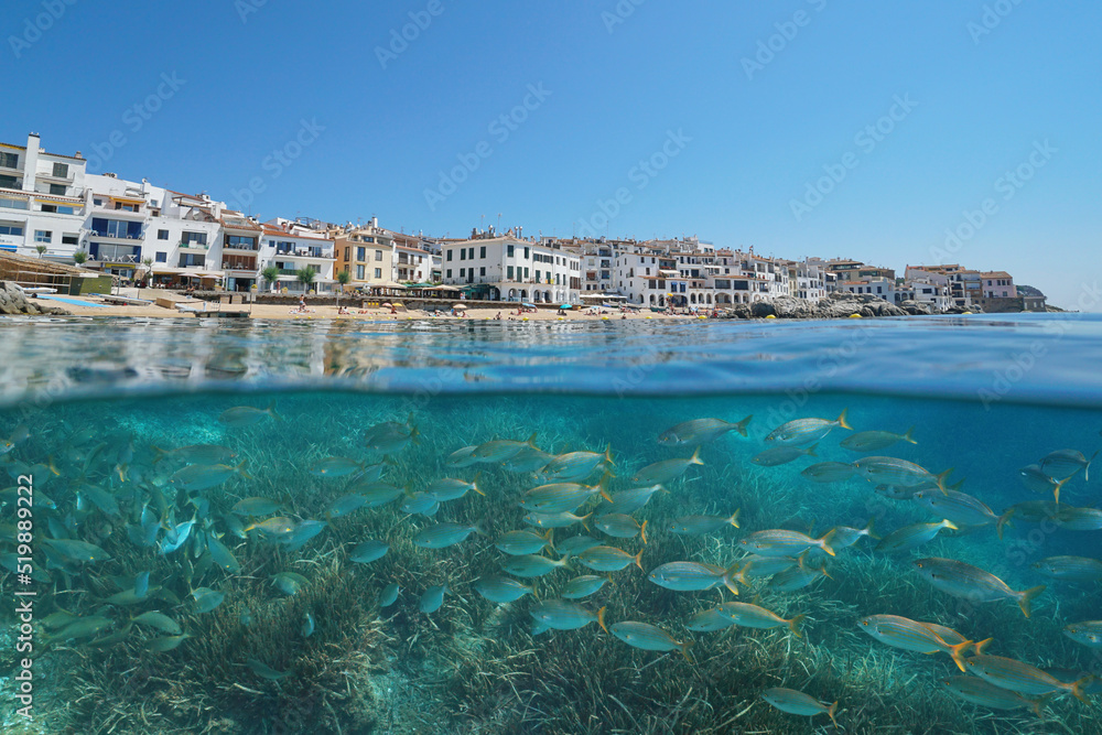 Spanish town on the Mediterranean coast with fish and seagrass underwater sea, Spain, Costa Brava, Calella de Palafrugell, split level view over and under water surface
