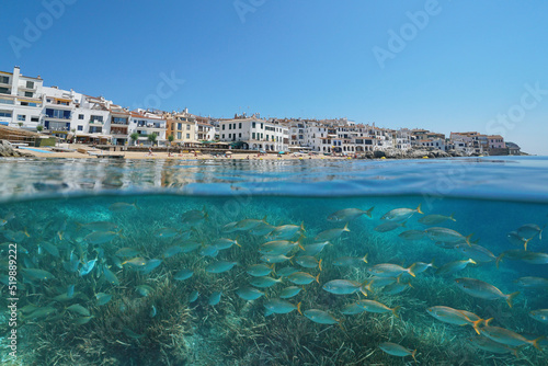Spanish town on the Mediterranean coast with fish and seagrass underwater sea, Spain, Costa Brava, Calella de Palafrugell, split level view over and under water surface