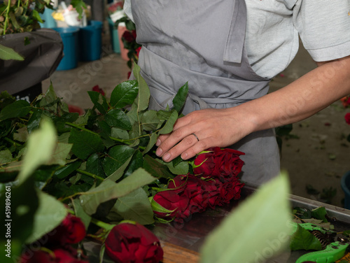 women care about beautiful roses while working in greenhouse. worker carrying bunches of fresh roses she growing them in greenhouse