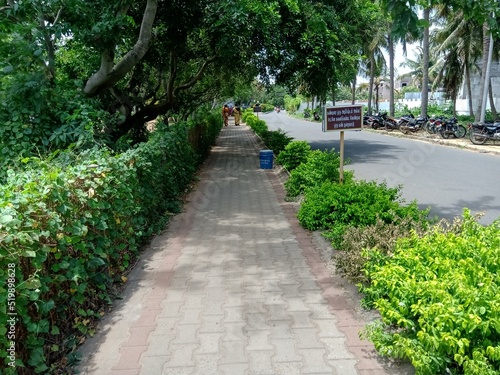 footpath in the park