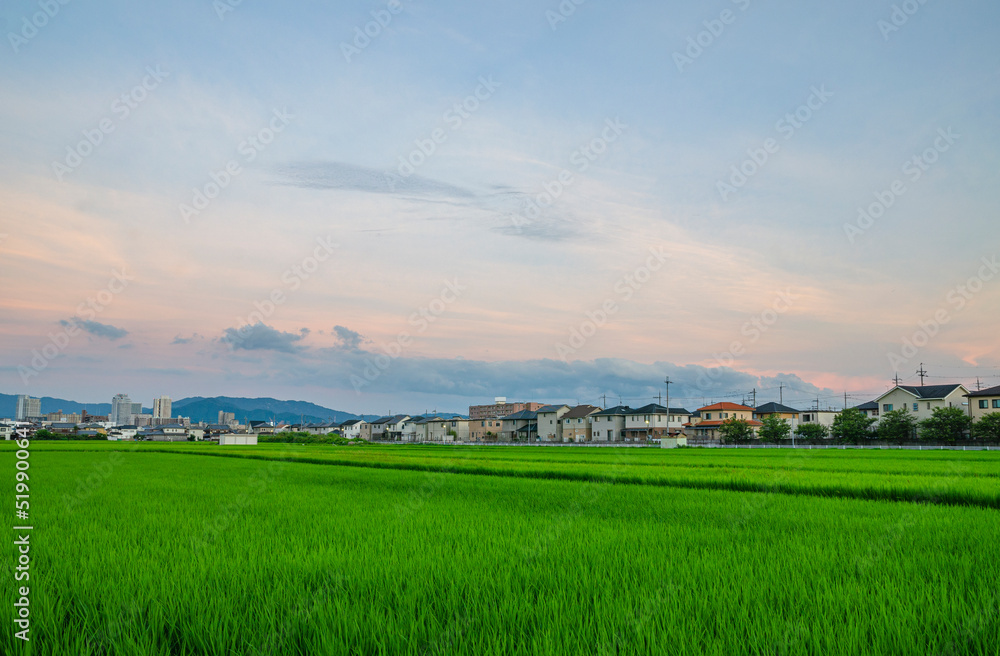 田園風景 田園風景