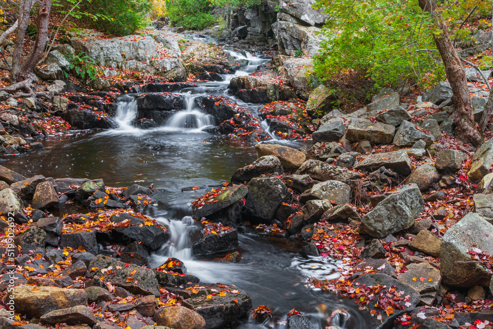 cascades in autumn forest in Acadia cascades in autumn forest in Acadia