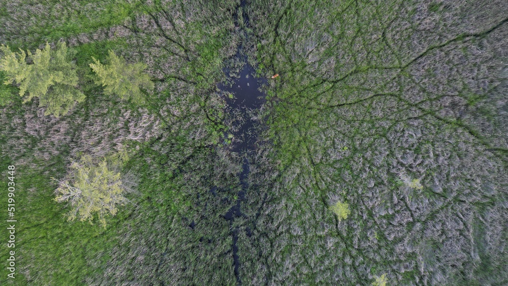 drone image of meadow surrounded by forest on either side drone image of meadow surrounded by forest on either side