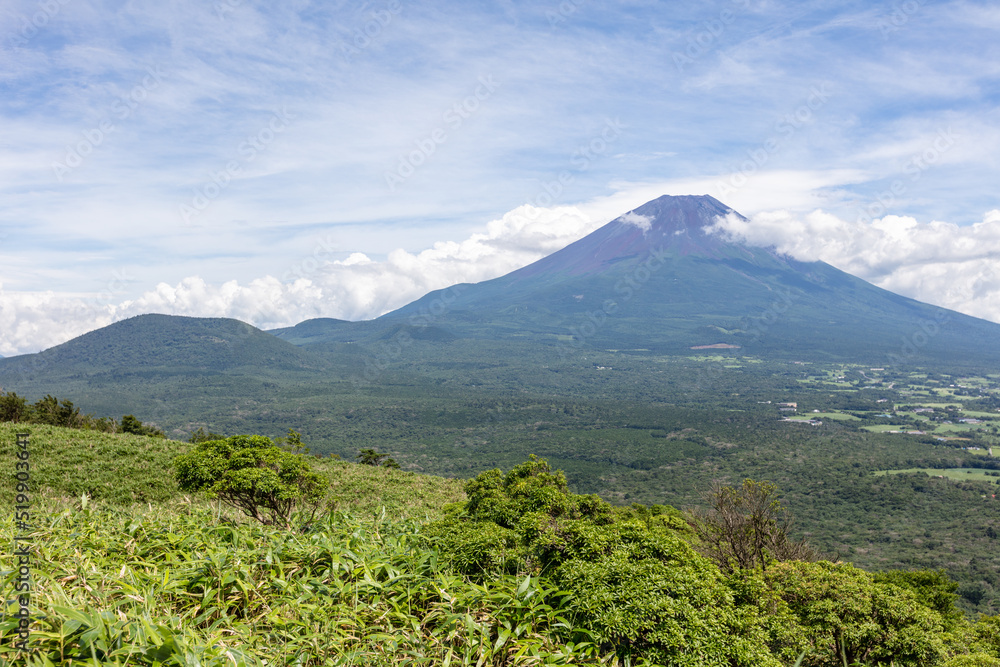 竜ヶ岳から見る富士山と青木ヶ原の樹海 竜ヶ岳から見る富士山と青木ヶ原の樹海