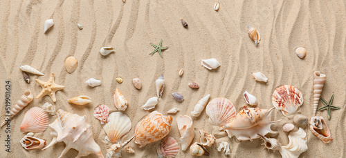 Obraz na plátně Many different sea shells on beach sand