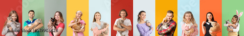 Fotografie, Obraz Set of people with funny cats on color background