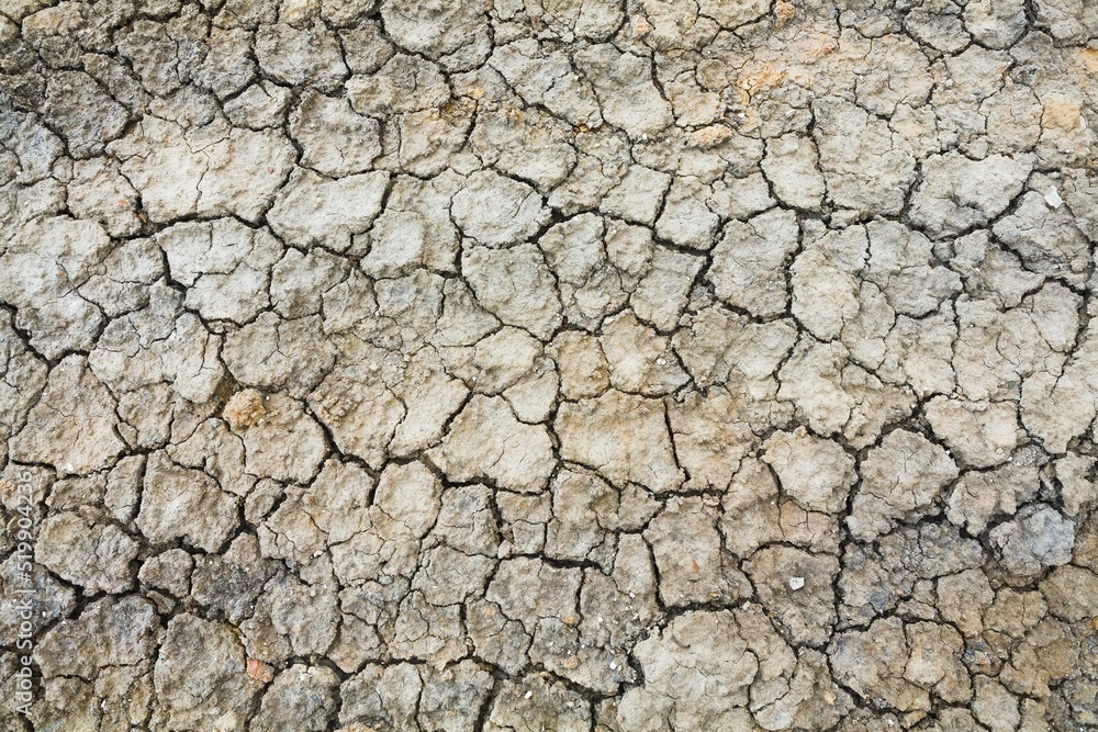 Texture cracked clay ground. Dry land in the desert without water Texture cracked clay ground. Dry land in the desert without water