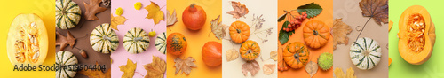 Collection of beautiful aut...