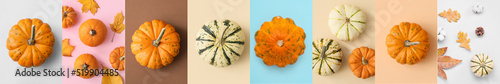 Collage of fresh pumpkins w...