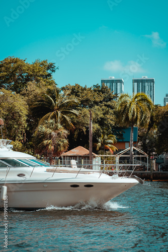 yachts in the marina miami river building palms 