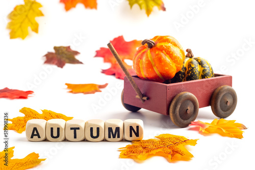 wooden cart with a pumpkin on a white background and and the word AUTUMN, collected of bone cubes.
