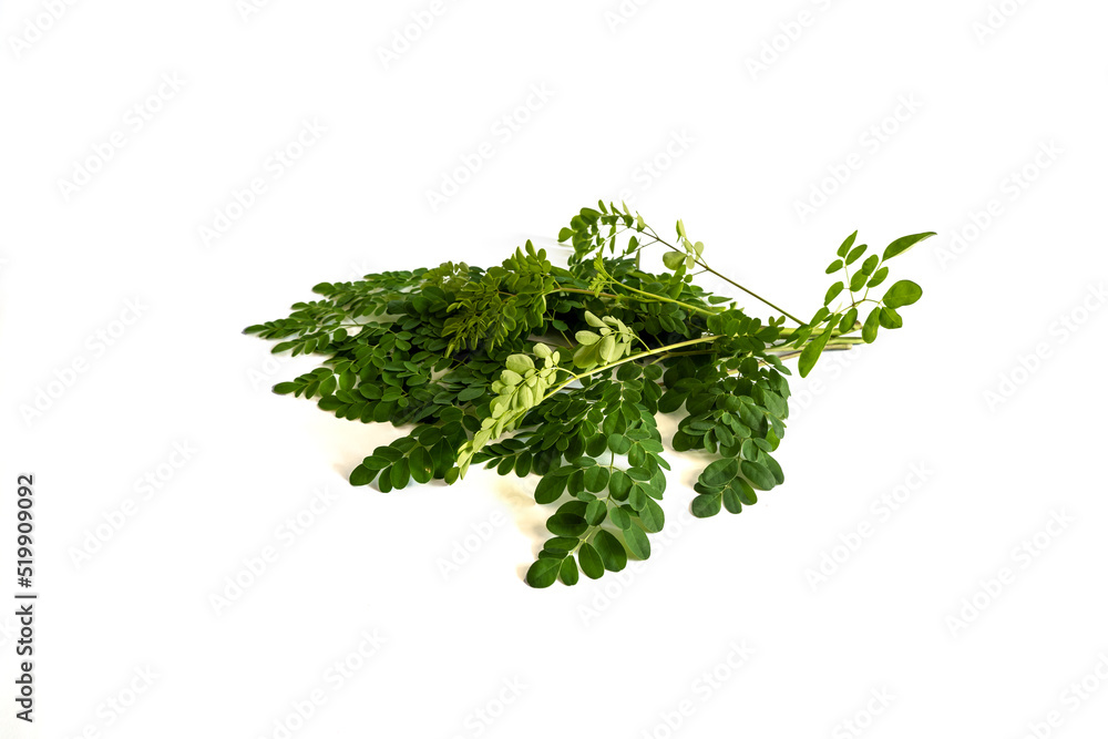 fresh moringa leaves isolated on a white background fresh moringa leaves isolated on a white background
