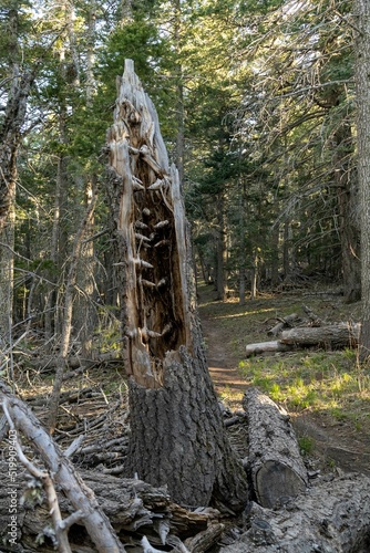 Sandia Mountain Crest New Mexico photo