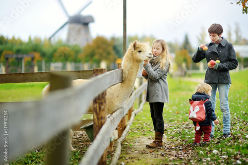 Bild auf Leinwand Cute young girl stroking an alpaca at a farm zoo on autumn day